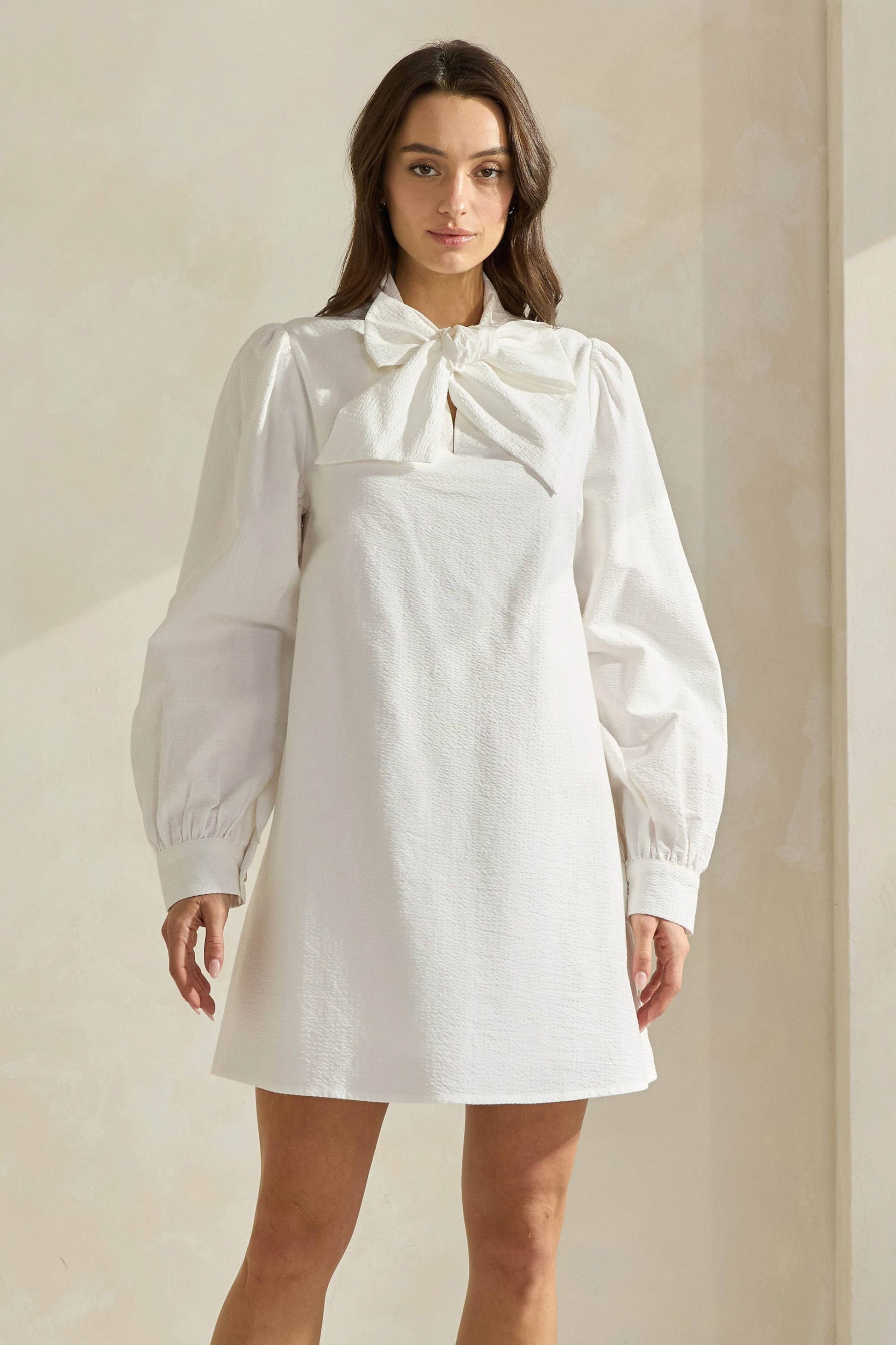 Seersucker Bow Mini Dress